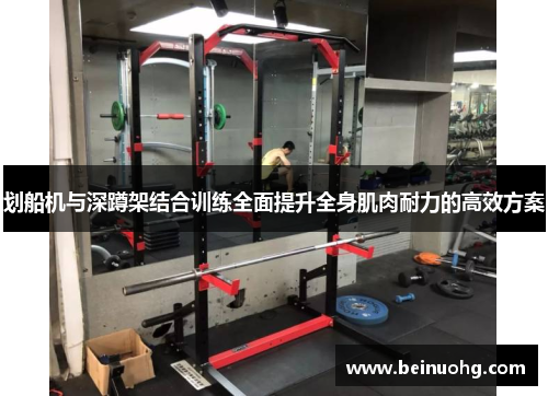 划船机与深蹲架结合训练全面提升全身肌肉耐力的高效方案
