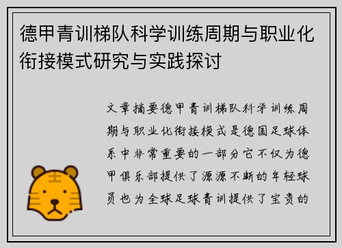 德甲青训梯队科学训练周期与职业化衔接模式研究与实践探讨