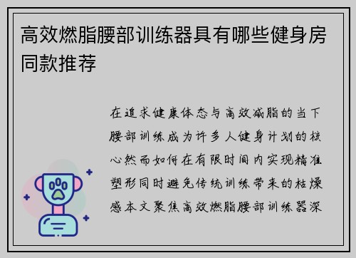 高效燃脂腰部训练器具有哪些健身房同款推荐