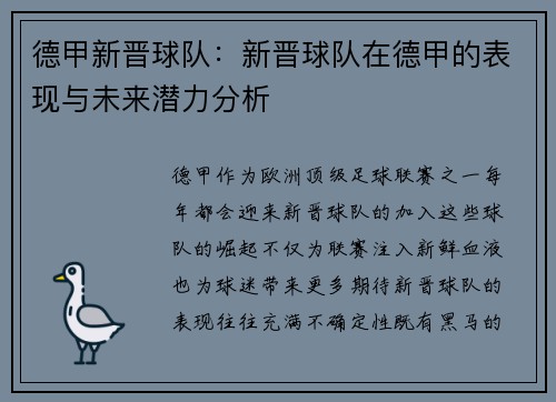 德甲新晋球队：新晋球队在德甲的表现与未来潜力分析