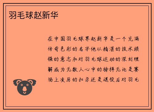 羽毛球赵新华